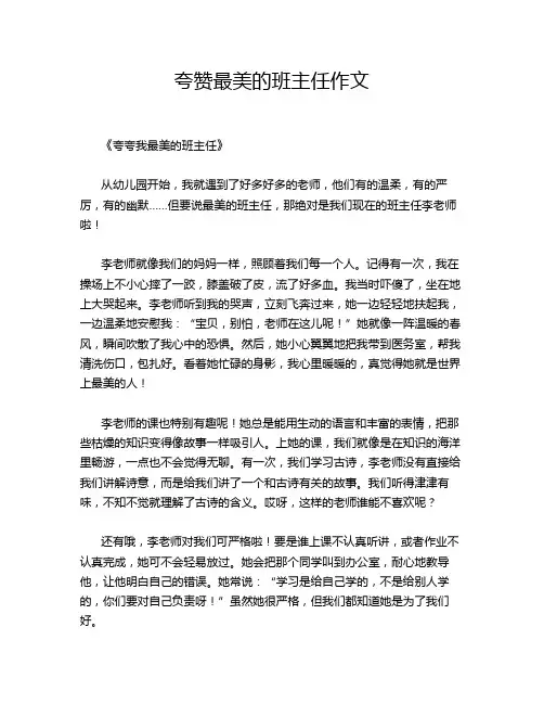 夸赞最美的班主任作文
