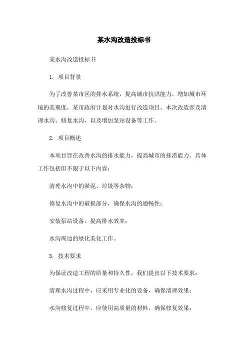 某水沟改造投标书