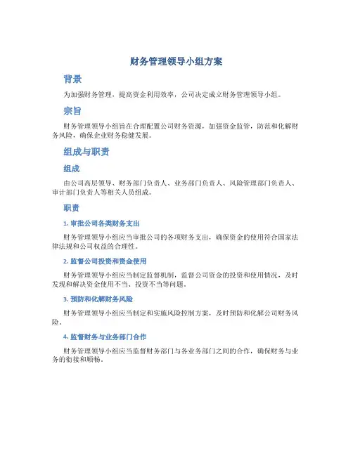 财务管理领导小组方案