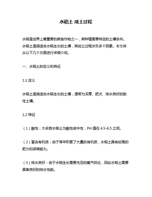 水稻土 成土过程
