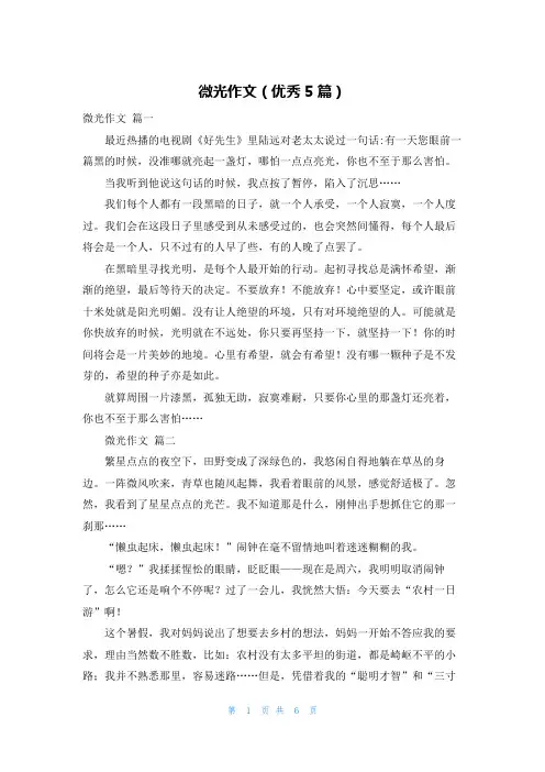 微光作文(优秀5篇)