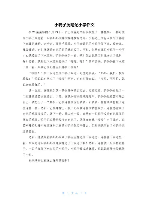 小鸭子历险记小学作文