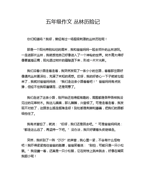 五年级作文 丛林历险记