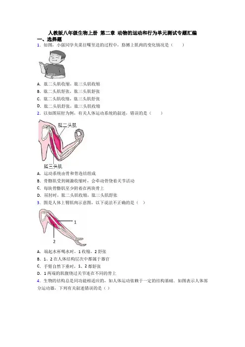 人教版八年级生物上册 第二章 动物的运动和行为单元测试专题汇编