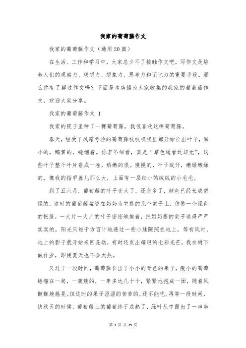 我家的葡萄藤作文