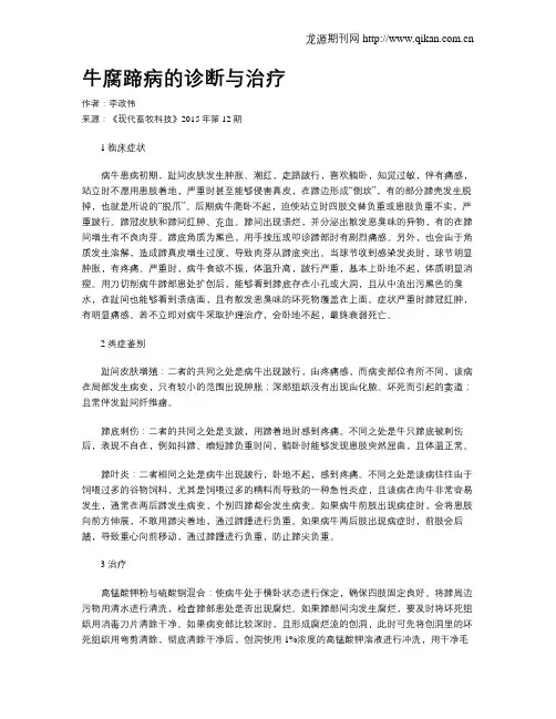 牛腐蹄病的诊断与治疗