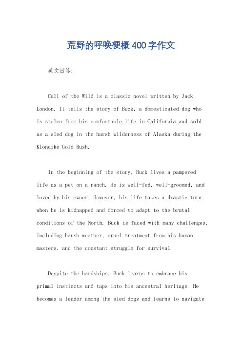 荒野的呼唤梗概400字作文