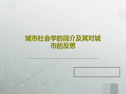 城市社会学的简介及其对城市的反思65页PPT