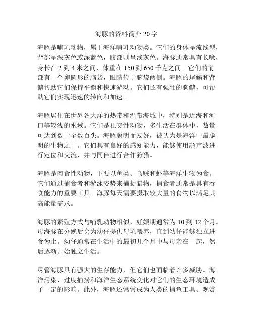 海豚的资料简介20字
