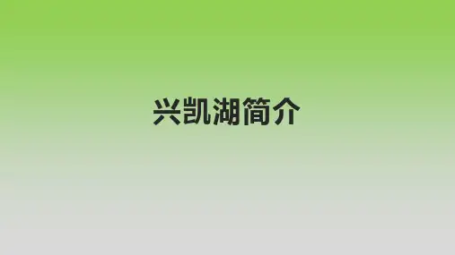 兴凯湖简介