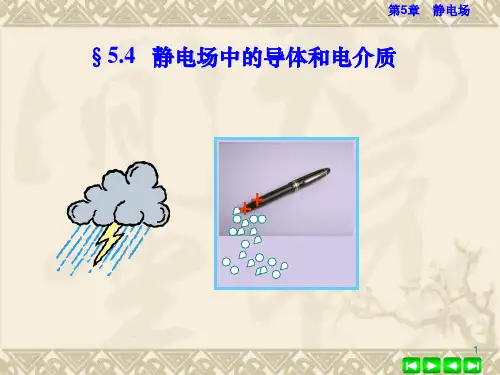 高二物理竞赛静电场中的导体和电介质课件