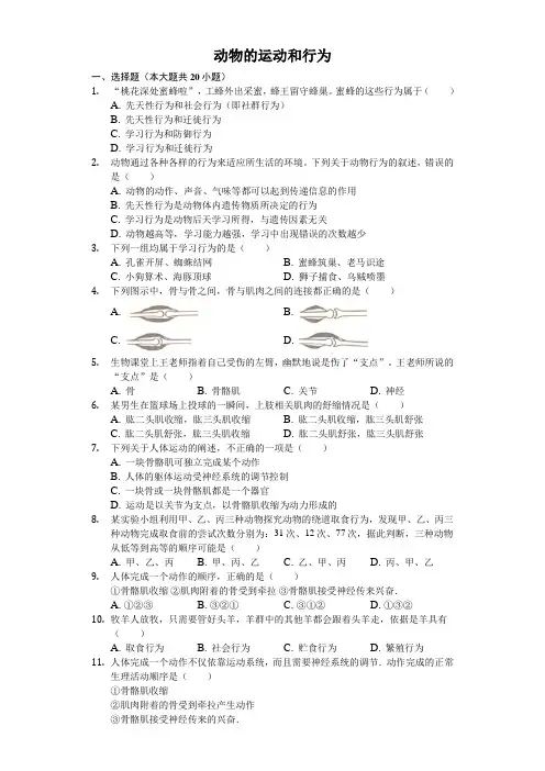 山东省乐陵市实验中学第二学期初二备考：动物的运动和行为含答案