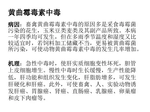 动物黄曲霉毒素中毒症状及防治详解