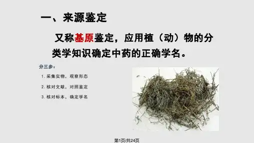 中药的性状鉴定PPT课件