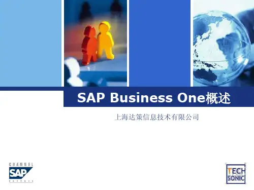 SAP Business One 简介