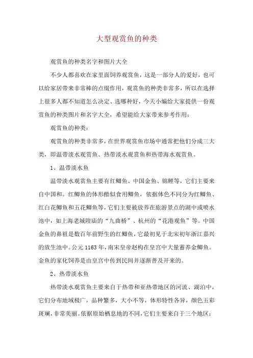 大型观赏鱼的种类