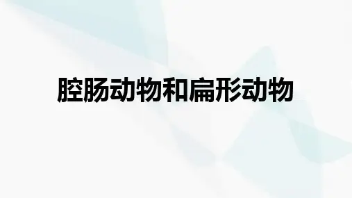 腔肠动物和扁形动物课件(共20张PPT)人教版八年级上册生物