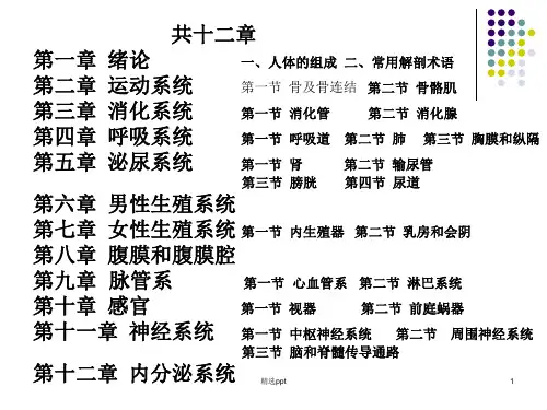 人体解剖学完整-全(课件)ppt课件