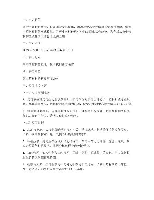 中药材种植实习报告
