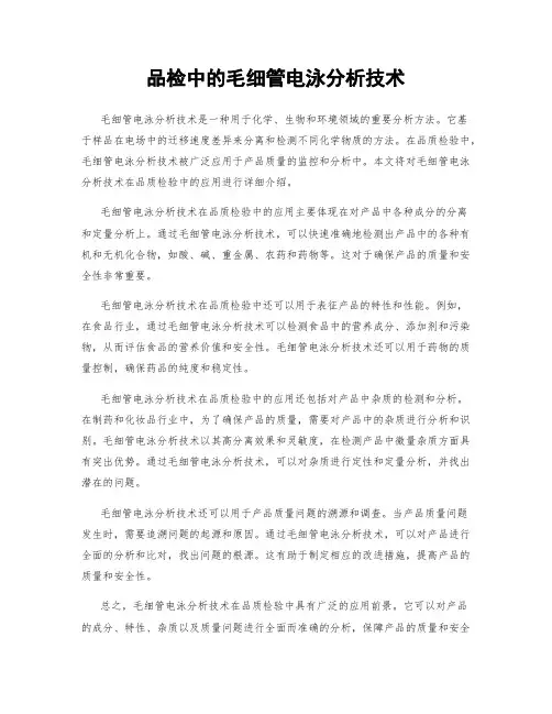 品检中的毛细管电泳分析技术