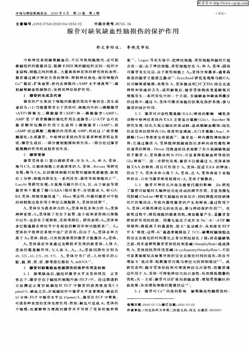 腺苷对缺氧缺血性脑损伤的保护作用