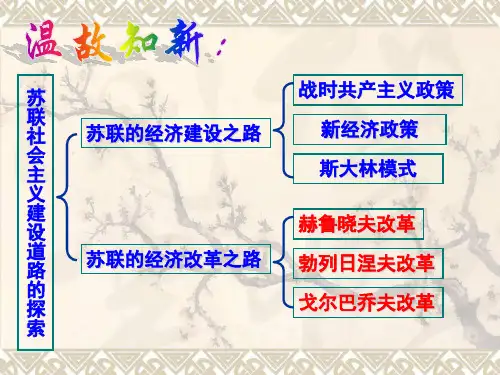 人民版高中历史必修二专题七第3课苏联社会主义改革与挫折 (42)