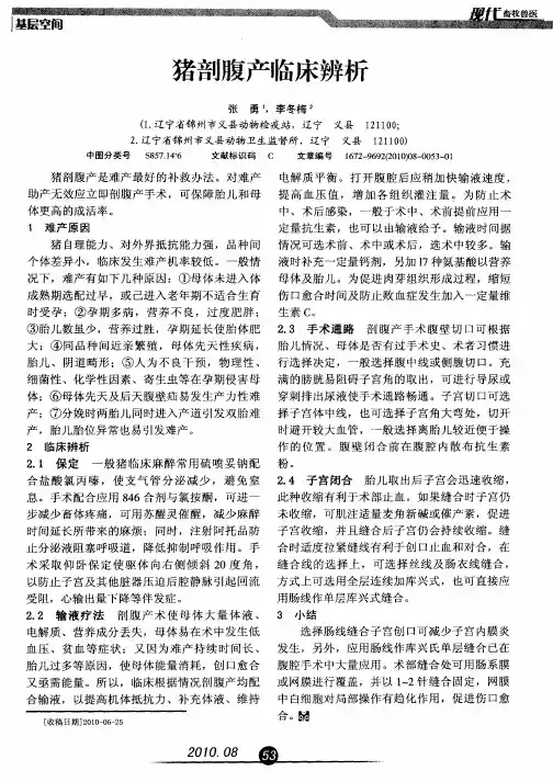 猪剖腹产临床辨析