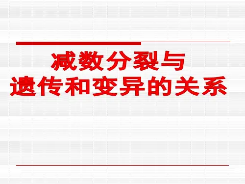 高三生物一轮复习课件减数分裂与遗传变异的关系