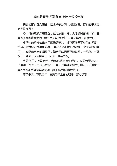 家乡的春天-写景作文300字相关作文