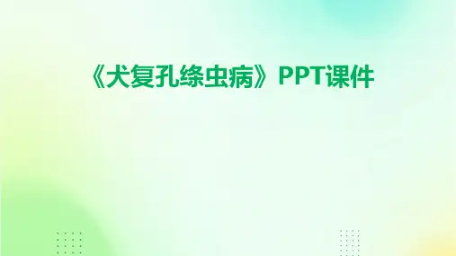 《犬复孔绦虫病》课件