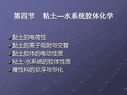 无机材料科学基础-4-4-粘土