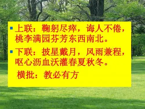 内外兼修,高效复习——中考语文复习策略PPT优秀课件下载(98张)