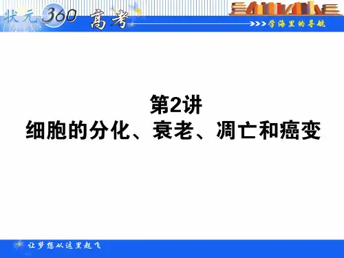 【状元360】2015高考生物一轮总复习基础课件：1.4.2 细胞的分化、衰老、凋亡和癌变