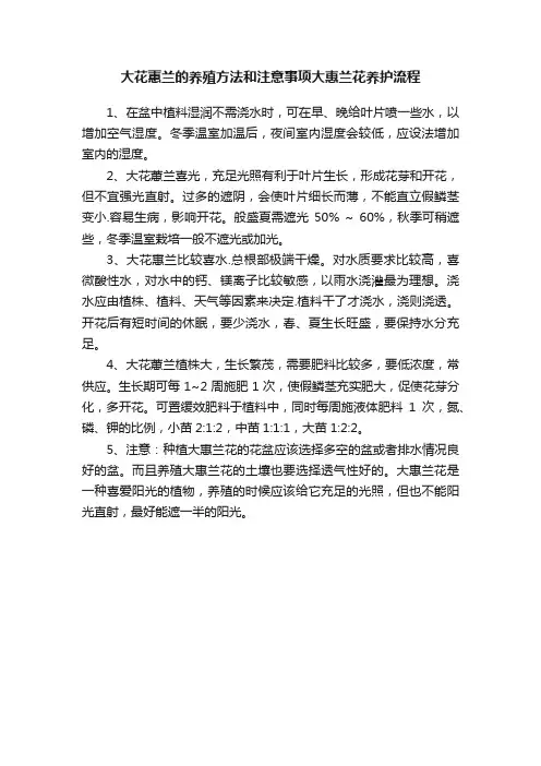 大花蕙兰的养殖方法和注意事项大惠兰花养护流程