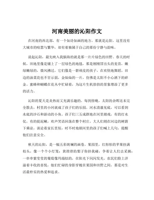 河南美丽的沁阳作文