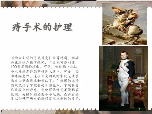 痔疮护理  ppt课件