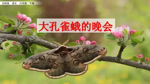 六年级下册语文-3.3 大孔雀蛾的晚会_长春版(38张)ppt课件