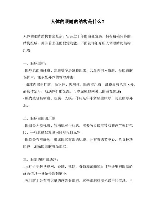 人体的眼睛的结构是什么？