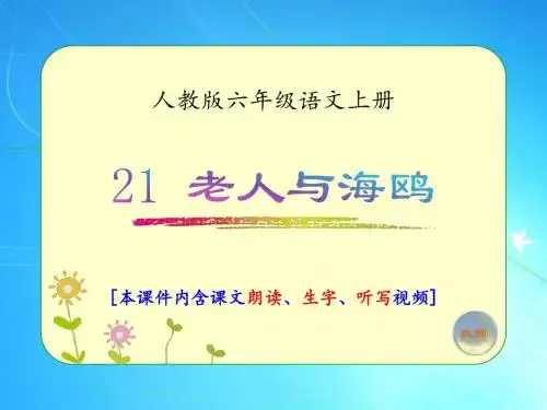 人教版六年级语文上册《老人与海鸥》优质课件(含课文相关视频)