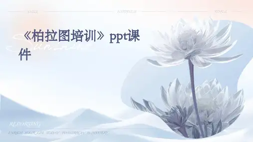 《柏拉图培训》课件