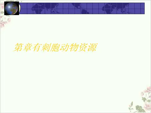 有刺胞动物资源PPT.