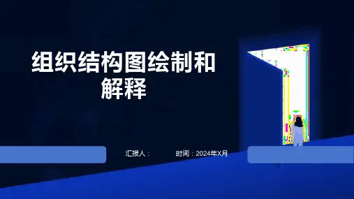 组织结构图绘制和解释