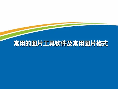 中图版七年级上册信息技术3.常用的图片工具软件及常用图片格式课件