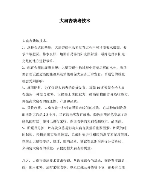 大扁杏栽培技术