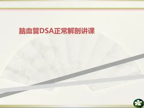 脑血管DSA正常解剖讲课