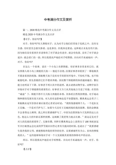 中考满分作文及赏析