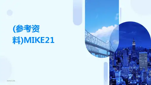 2024版(参考资料)MIKE21