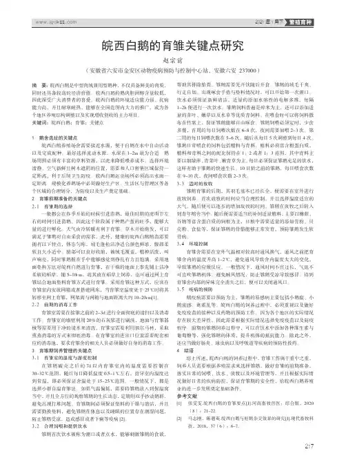 皖西白鹅的育雏关键点研究