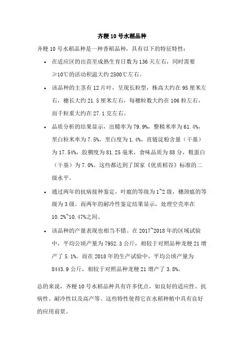 齐粳10号水稻品种