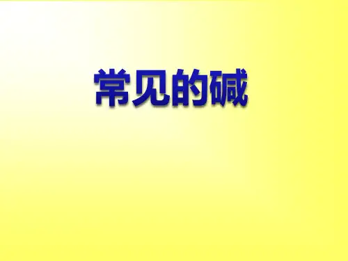 《常见的碱》优秀PPT课件